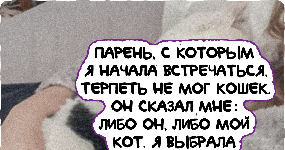 18 кошек, которые заслужили безграничную любовь хозяев своей преданностью, которая не уступит по крепости собачьей