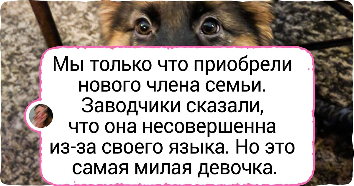 16 животных, чья изюминка во внешности только прибавила им обаяния