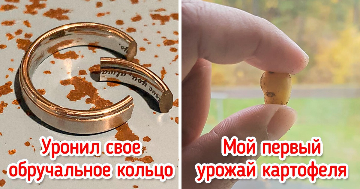17 человек, чья удача ушла в отпуск, но обещала вернуться