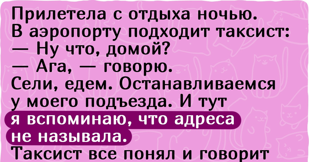 20+ водителей и пассажиров такси, которые закончили поездку с полными штанами впечатлений 20+ водителей и пассажиров такси, которые закончили поездку с полными штанами впечатлений