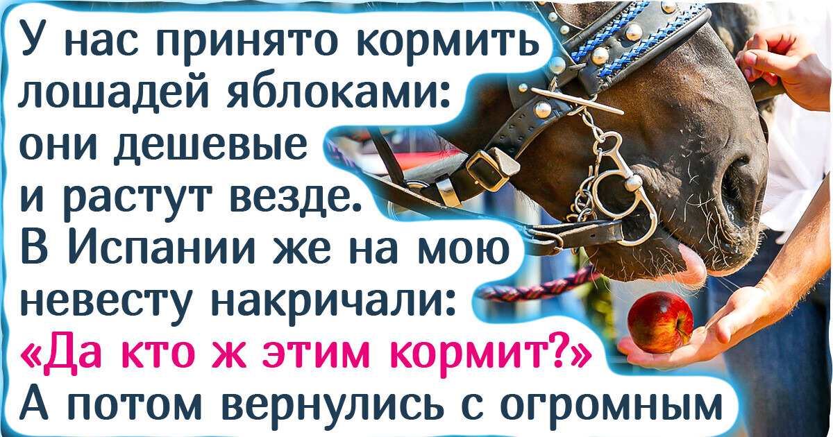 20+ продуктов, которые в одних странах едят чуть ли не каждый день, а в других считают редчайшим лакомством