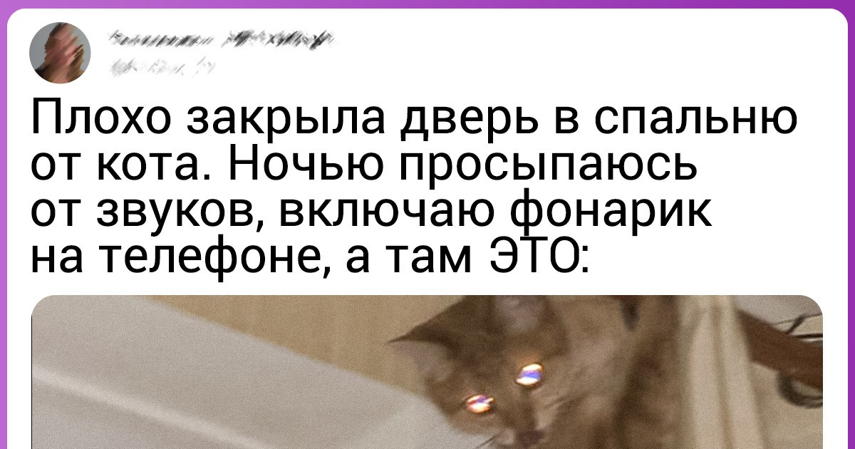 16 жизненных ситуаций, которые прекрасно знакомы всем владельцам пушистиков