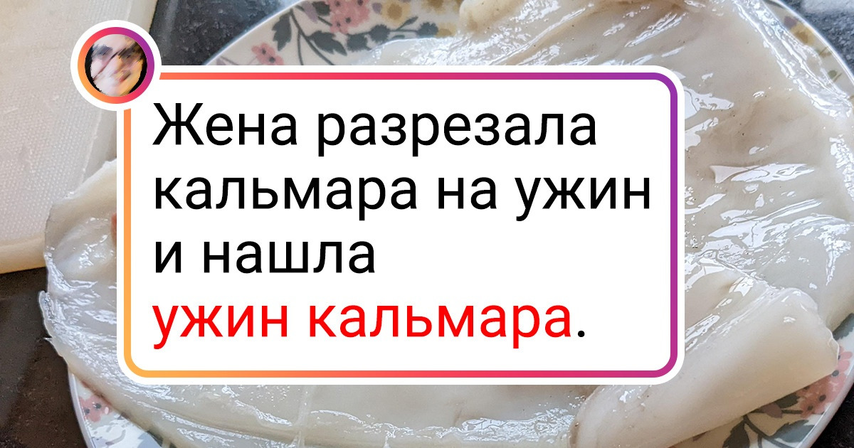 20 человек, которые пережили незабываемые моменты и решили похвастаться всему интернету