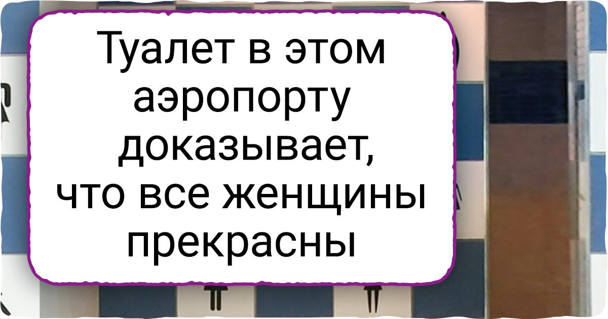 20+ доказательств того, что в аэропортах и самолетах можно наткнуться на все что угодно