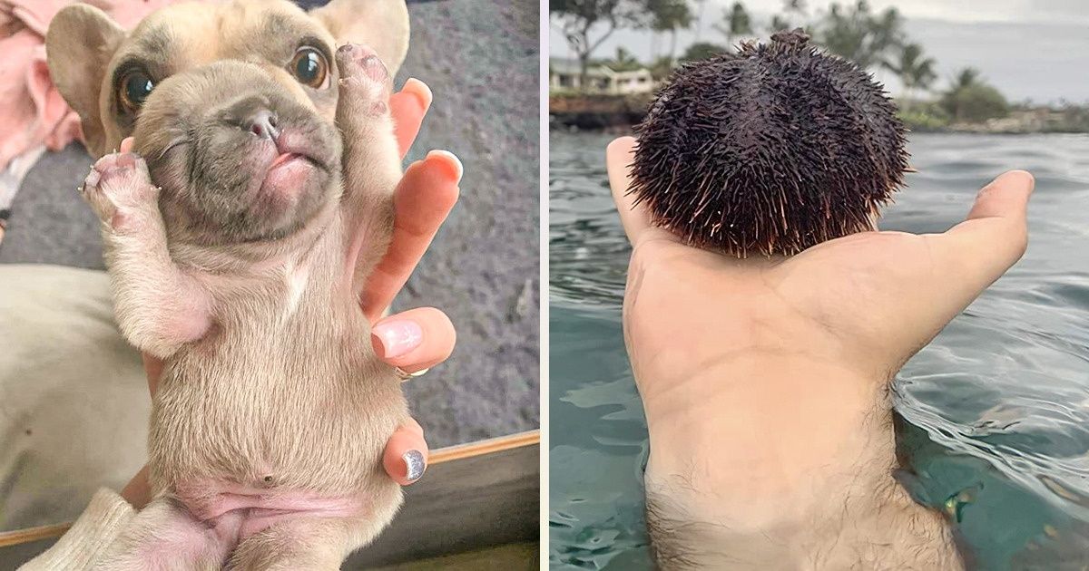 22 фото, над которыми придется поломать голову, чтобы понять