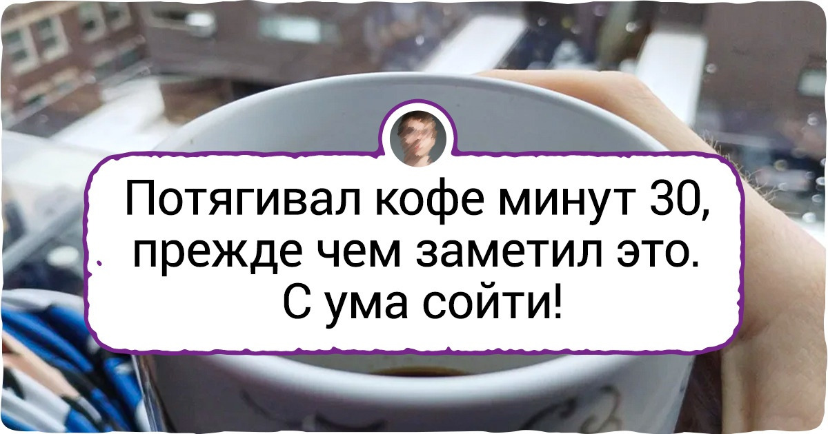 15+ случайных моментов, которые превратили обычные фото в шедевры