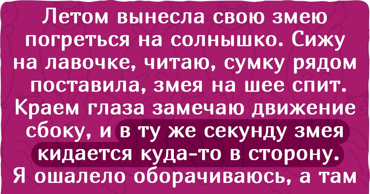 15 хвостатых помощников, которые мастерски скрывали, что у них, оказывается, ума палата