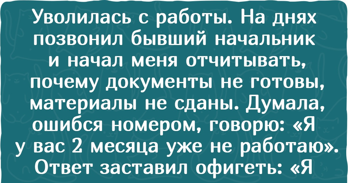 15 ушлых человек, чье желание прокатиться на чужой шее перешло все границы 15 ушлых человек, чье желание прокатиться на чужой шее перешло все границы