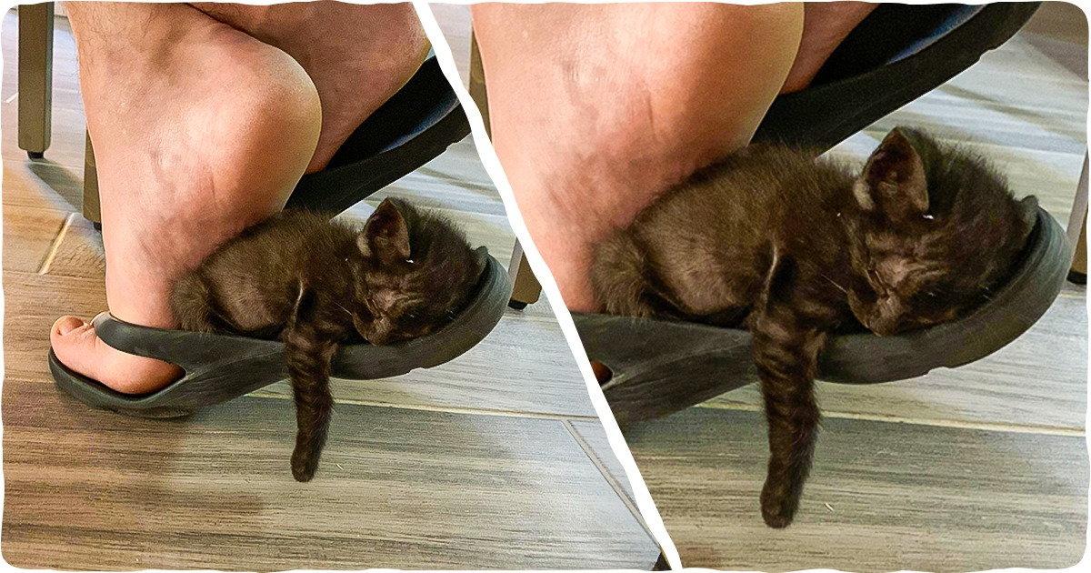 16 фотографий, теплых, как лучик света в непогоду