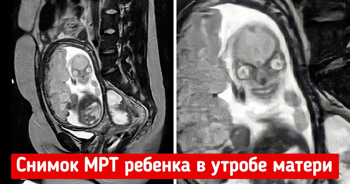 18 фото, которые доказывают, что у природы тоже бывает игривое настроение