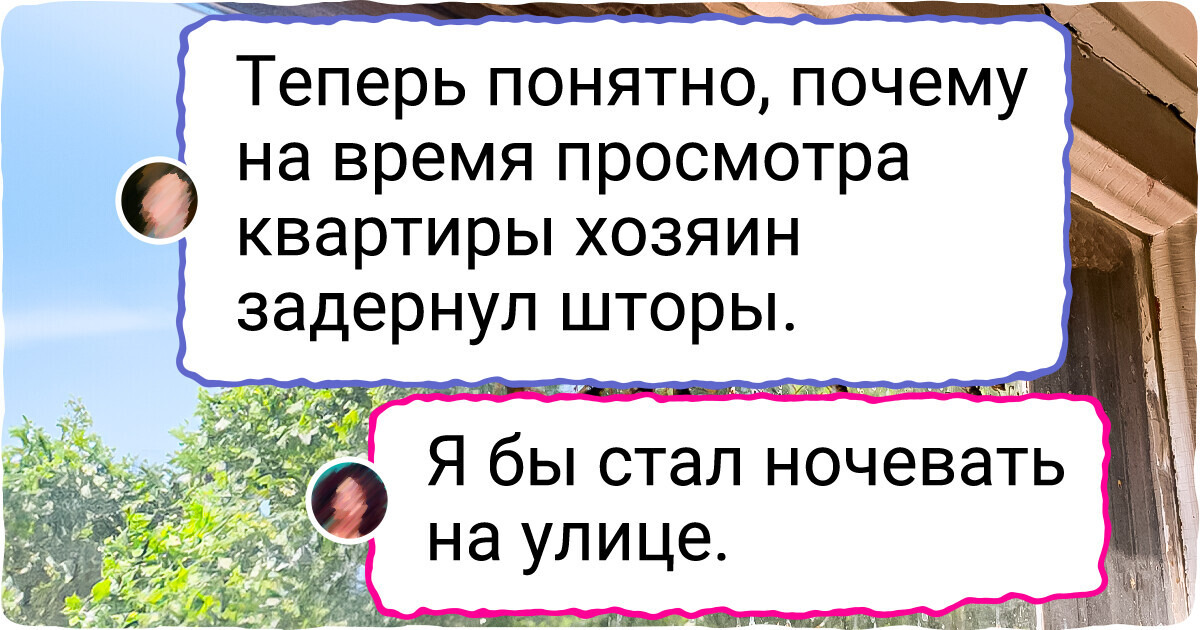 17 бедолаг сняли жилье, а теперь только и делают, что хлещут валерьянку