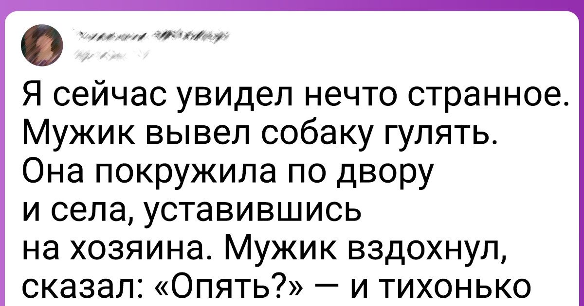 19 песелей, для которых быть обычной собакой — это слишком скучно