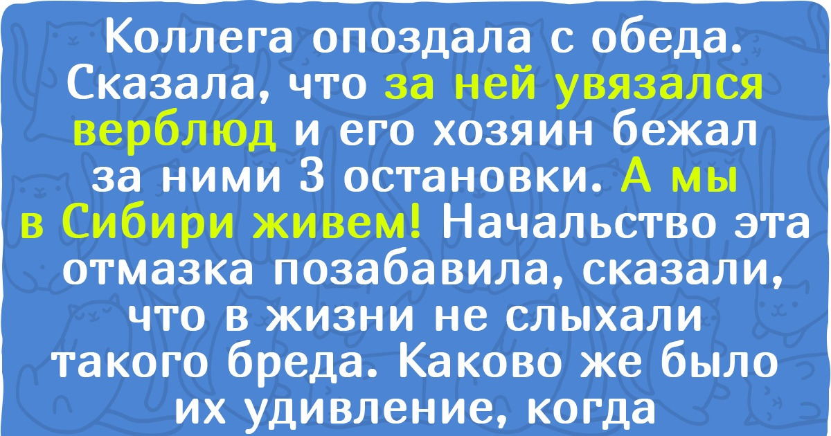 14 человек, у которых для опозданий нашлись причины покруче, чем банальное «я проспал» 14 человек, у которых для опозданий нашлись причины покруче, чем банальное «я проспал»