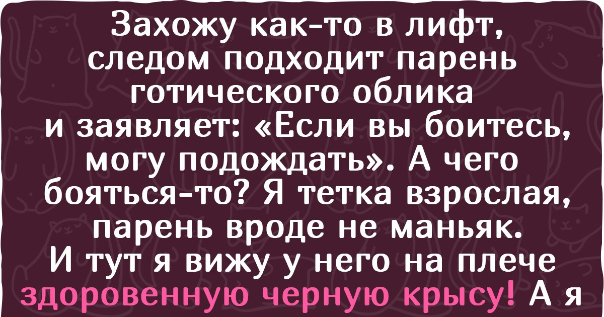 19 историй о поездке в лифте, после которых понимаешь, что по лестнице ходить очень полезно