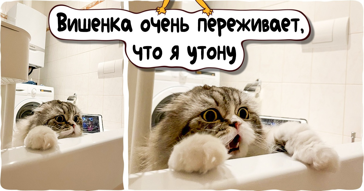 16+ историй о том, как люди поняли, что их любят по-настоящему