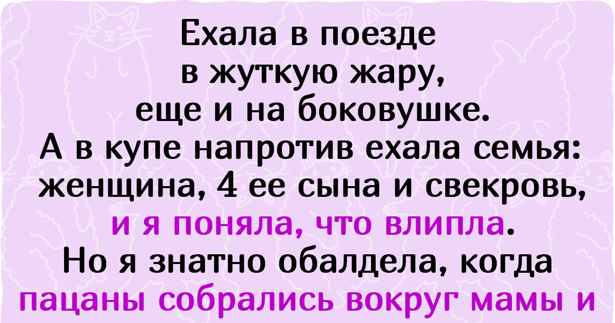 16 человек, которым достались такие попутчики, что расскажи кому — ни за что не поверят