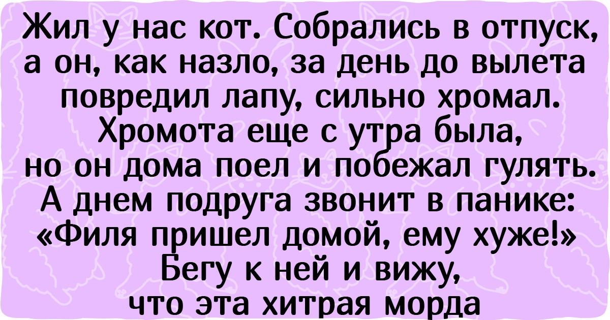 15 случаев, когда хозяева просто диву дались, узнав об интеллектуальных способностях своих питомцев
