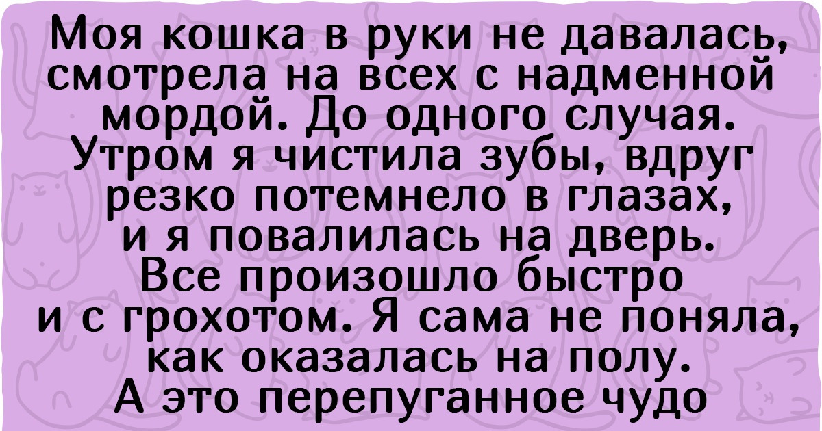 15+ суперчувствительных питомцев, которые спешат на помощь быстрее Чипа и Дейла