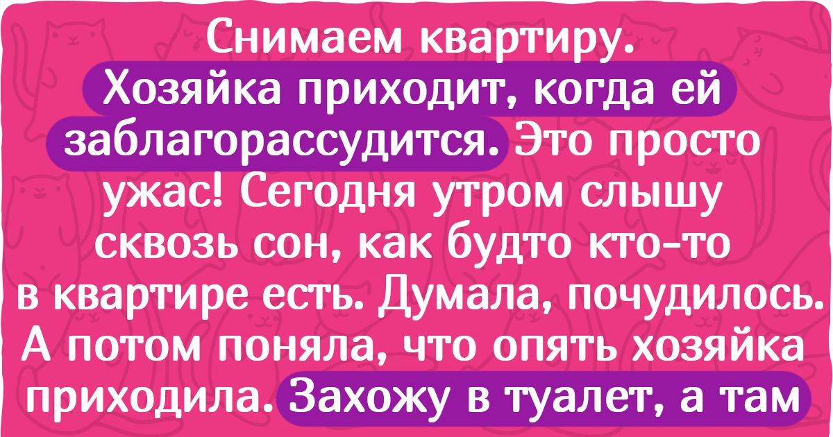 15+ историй о съемном жилье, из которого захочется убежать, наплевав на потраченные деньги