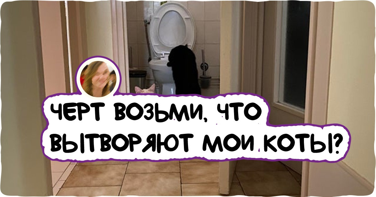 20 человек, которые решили, что одного усатого шкодника им недостаточно, и завели еще