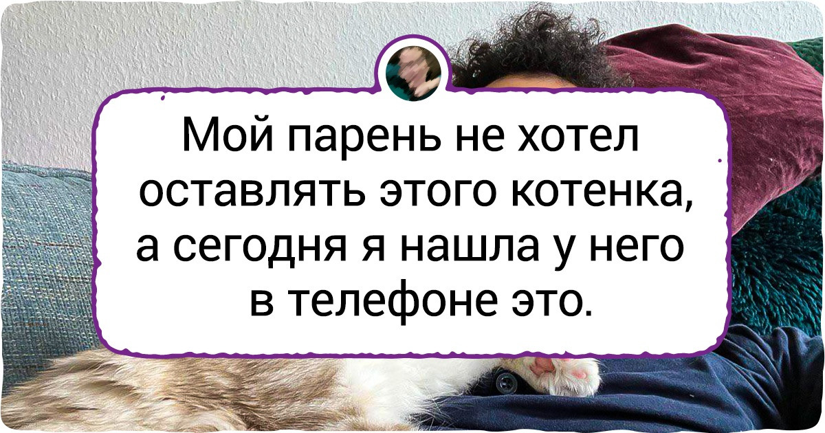 18 суровых мужчин, которые прошли путь от «Ноги этого животного в доме не будет!» до «Где мой сладкий пирожок?» 18 суровых мужчин, которые прошли путь от «Ноги этого животного в доме не будет!» до «Где мой сладкий пирожок?»