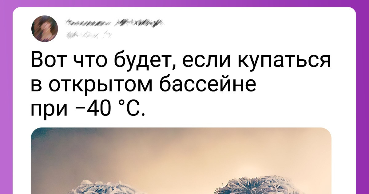 20+ эпичных фото, которые можно сделать только зимой. И никакой мороз этому не помеха