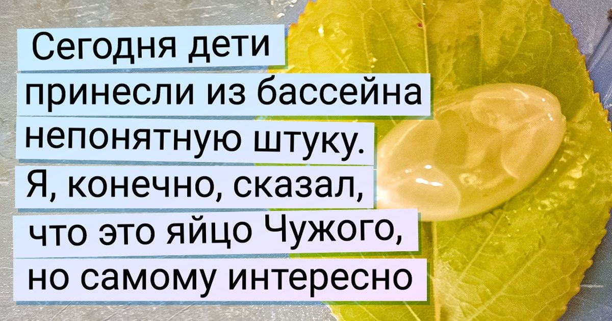 15+ найденных любопытных вещиц, которые поставили в тупик не одного человека