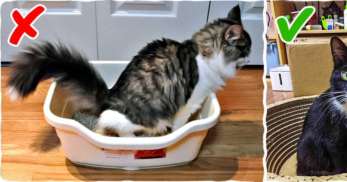 10+ нюансов в доме, из-за которых гости разбегутся и больше носа к вам не покажут