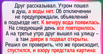 15 историй с непредсказуемым финалом, от которых люди до сих пор под впечатлением