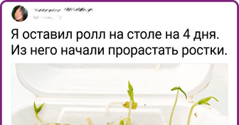 20+ снимков, которые могут показаться обманом зрения. Но на самом деле изображенное на них вполне реально