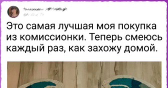 15 человек, которых хлебом не корми — дай купить и притащить в дом какую-нибудь странную штуку