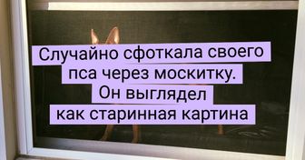 20+ счастливчиков, которые увидели такую редкость, что никто бы не поверил, если бы не фото