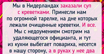 15 человек, которые пришли в ресторан, но самые яркие впечатления получили совсем не от еды