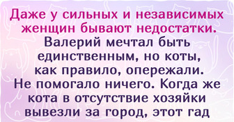 Короткая история о том, почему даже сильных женщин кому-то нужно защищать — от неправильного выбора