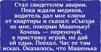 20 трогательных историй о животных, после прочтения которых срочно захочется приютить маленькое пушистое чудо