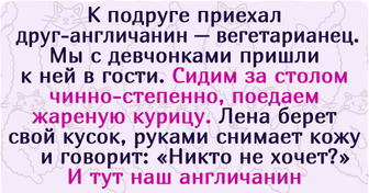 15+ историй о том, как люди отказались от вегетарианства и не испытывают никаких угрызений совести