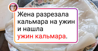 20 человек, которые пережили незабываемые моменты и решили похвастаться всему интернету