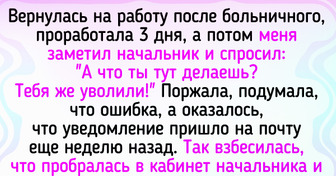 14 историй про увольнения, которые больше смахивают на побег из цирка