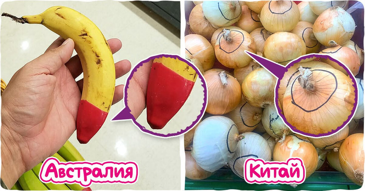 15+ фишек из супермаркетов разных стран, увидев которые можно напрочь забыть, зачем вообще туда пришел