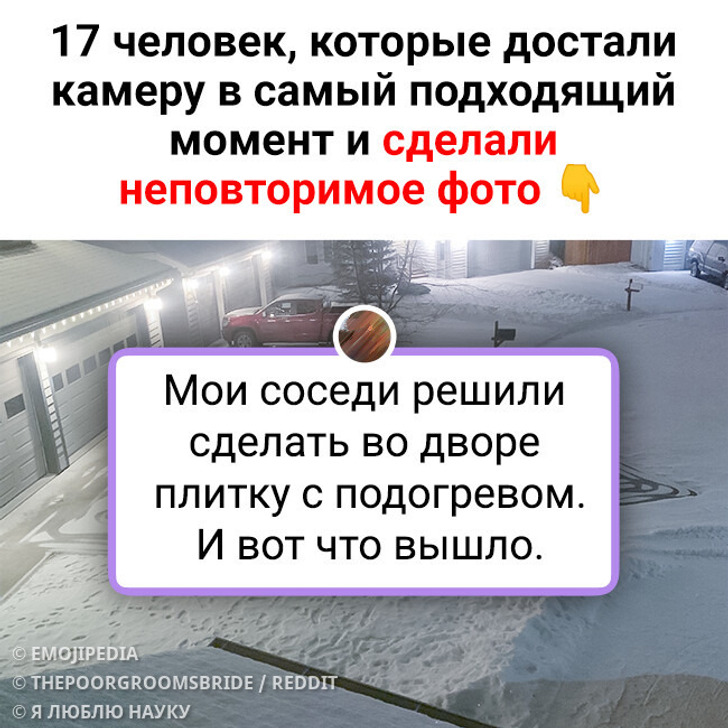 17 человек, которые достали камеру в самый подходящий момент и сделали неповторимое фото