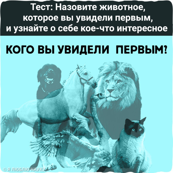Тест: Назовите животное, которое вы увидели первым, и узнайте о себе кое-что интересное