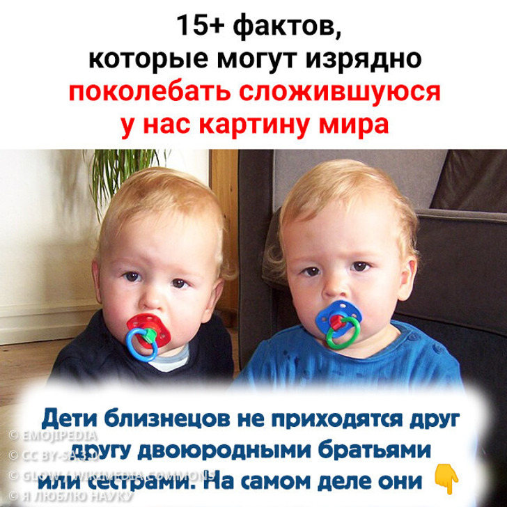 15+ фактов, которые могут изрядно поколебать сложившуюся у нас картину мира