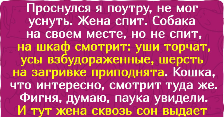 15 жутких историй, которые произошли на самом деле, а не в фильмах ужасов