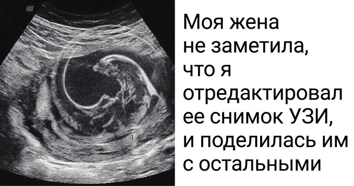 14 пар, чьи отношения строятся на любви и юморе