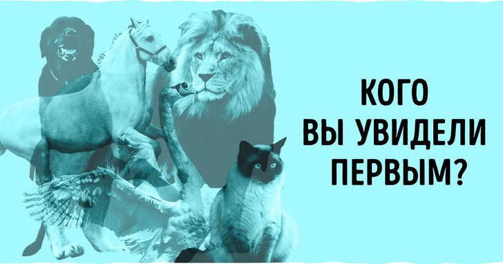 Тест: Назовите животное, которое вы увидели первым, и узнайте о себе кое-что интересное