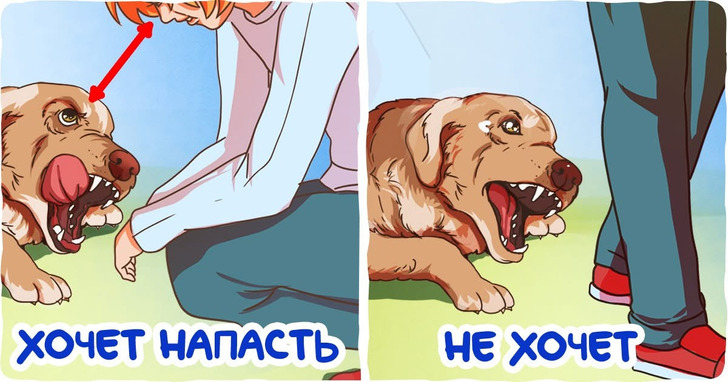 9 советов, как вести себя в опасных ситуациях, когда у других от страха сводит ноги