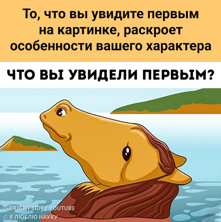 То, что вы увидите первым на картинке, раскроет особенности вашего характера