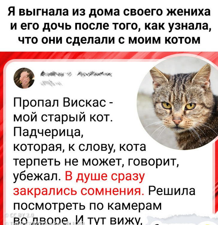 Я выгнала из дома своего жениха и его беременную дочь после того, как узнала, что они сделали с моим котом