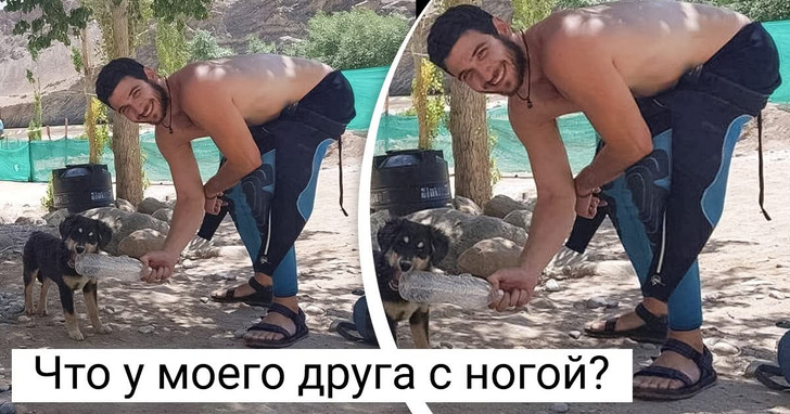 15+ фотографий, которые играют в непонятные игры с нашими глазами