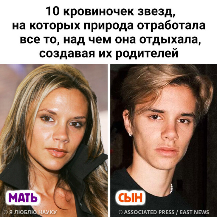 10 кровиночек звезд, на которых природа отработала все то, над чем она отдыхала, создавая их родителей